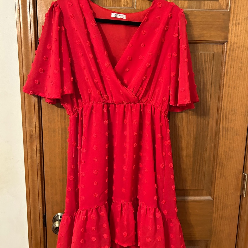 Red Floral Textured Dress